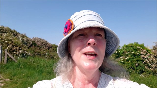 Walking with Elaine Hammond Brighton and Hove Way Part One Saltdean Lido to Woodingdean via Castle Hill Nature Reserve