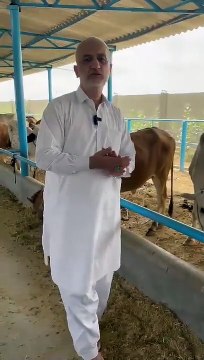 Eid ul Adha 2023 || Qurbani Booking || Sarim Burney Trust