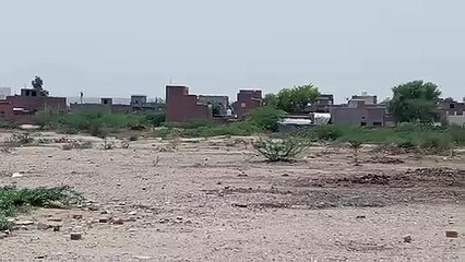 ... और इधर आगोर पर गौर नहीं, छटपटा रहे सिकुड़ते सरोवर