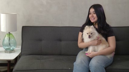 bd-ansiedad-en-mascotas-070623