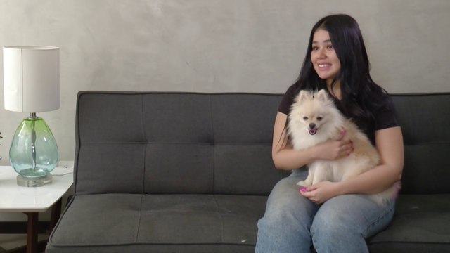 bd-ansiedad-en-mascotas-070623