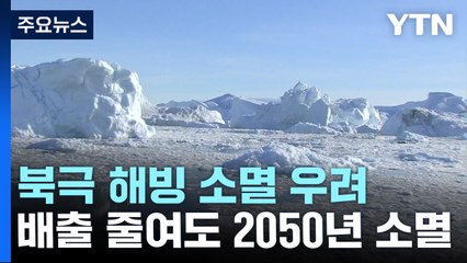 [날씨] 10년 빨라진 북극 해빙 소멸..."2030년 9월 사라져" / YTN