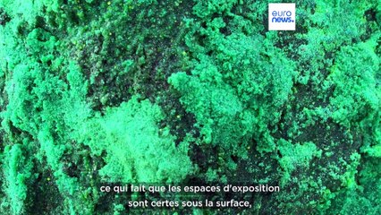 La Villa Carmignac sur l'île de Porquerolles, un écrin dans un écrin