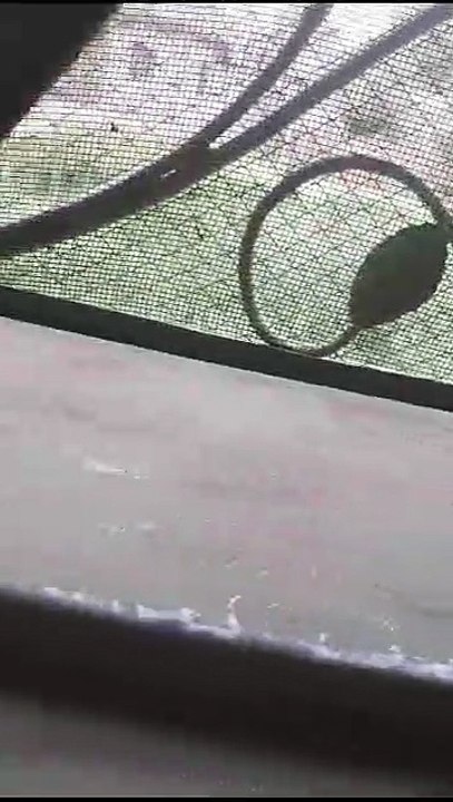 VID-20230523-WA0031