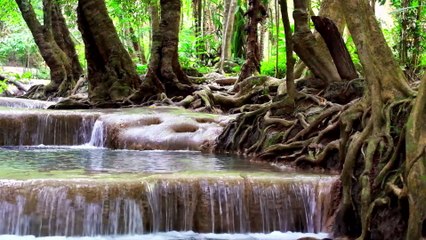 1 Hour of Therapeutic Nature Sounds: Soothing River Noise for Sleep, Meditation, Yoga, Study & Focus