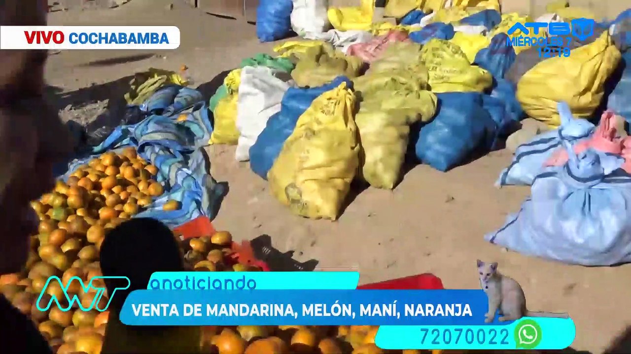 ANOTICIANDO (07-06-23)