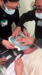 Shannen Doherty e le metastasi al cervello