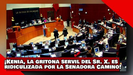 ¡VEAN! ¡Kenia, la gritona servil del Sr. X. es ridiculizada por la Senadora Camino de morena!