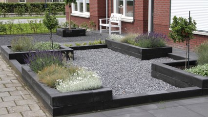 4 Grass Alternatives for Yards with Major Curb Appeal