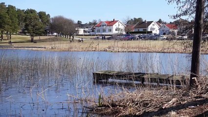 1 Hour Relaxing Sleep Music, Chill songs, Music for learning