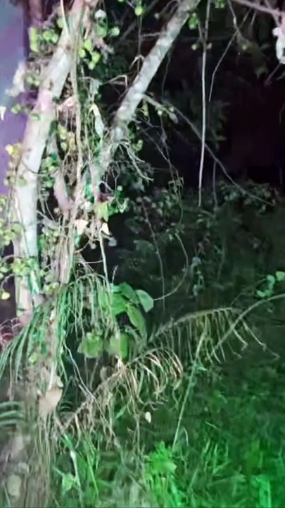 Paranormal activity ghost on camera part 149