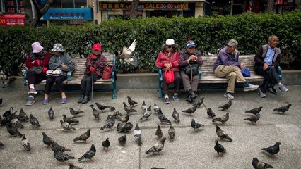 Aging Asian Americans face high rates of social isolation and poverty