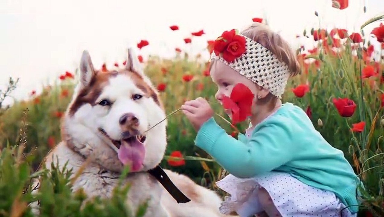10 Tiere - Die Leben gerettet haben!