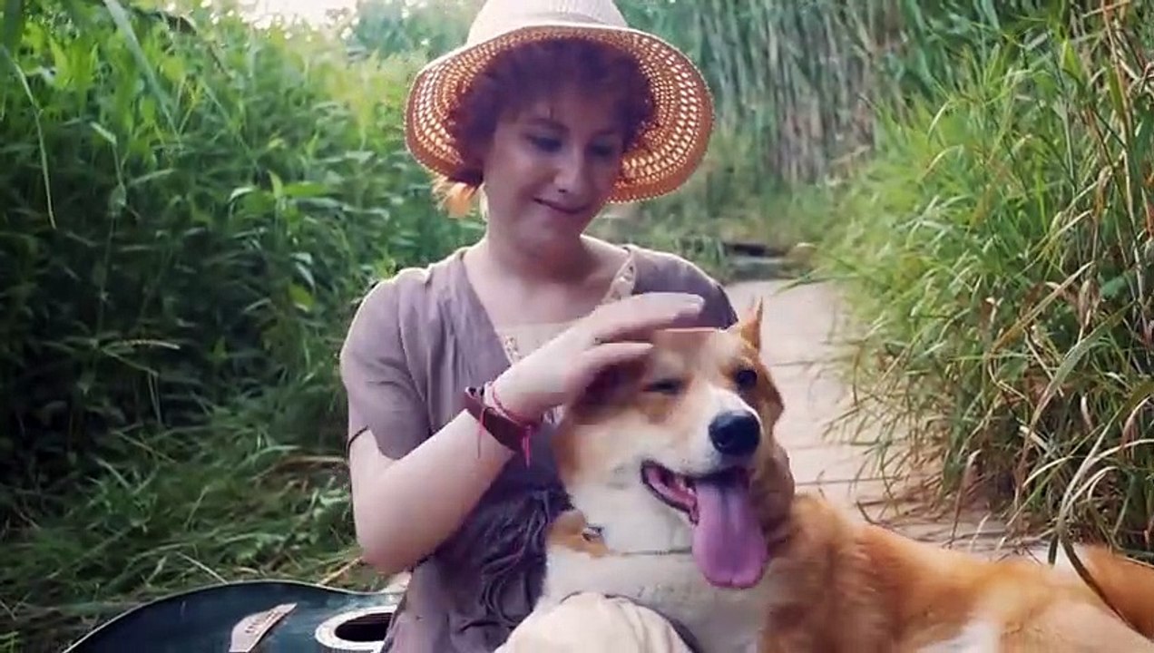 Die 10 teuersten Hunderassen