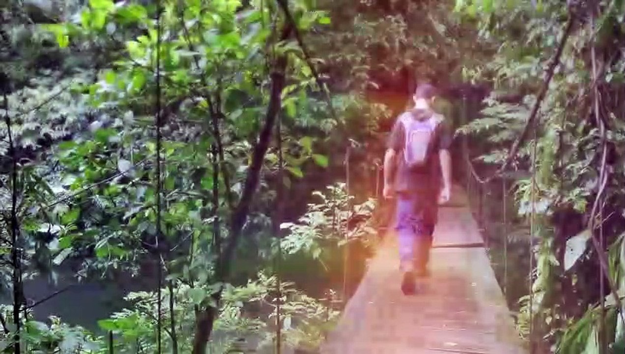 10 Tiere, die erst kürzlich entdeckt wurden