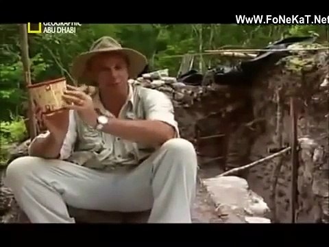 وثائقى - حضارة المايا تاريخ الحضارات القديمة - تاريخي