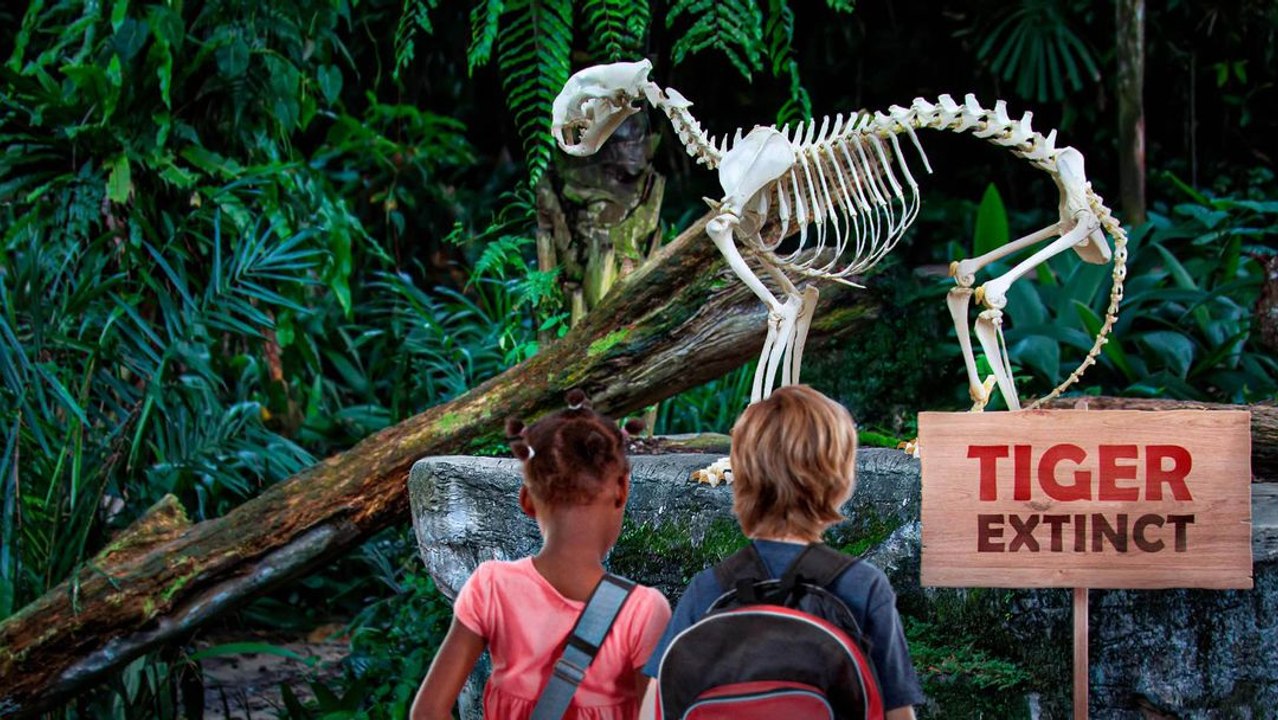 What If All Wildlife on Earth Was Wiped Out?