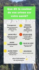 Couleur de l'urine par rapport à votre état de santé
