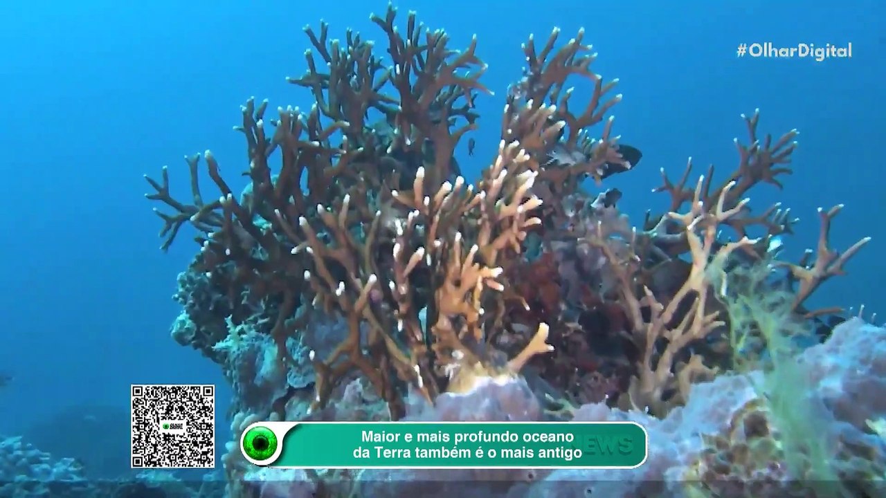 Maior e mais profundo oceano da Terra também e...