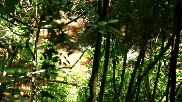 ONLY GAME WARDENS AUTHORISED TO SEARCH