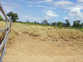 Charges laid after property damaged at Carmichael mine