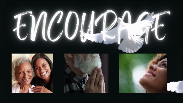 Daily Wisdom: Wings of Protection | Find Comfort and Strength in God's Promises| Psalm 91:4