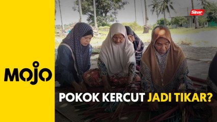 Warga emas anyam tikar daripada pokok kercut