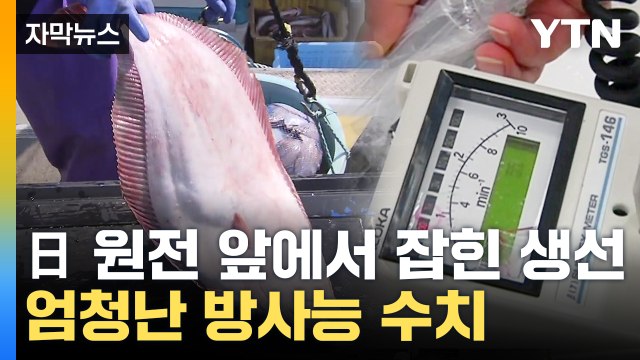 [자막뉴스] 日 바다서 잡힌 '방사능 덩어리'...내부서도 우려 / YTN