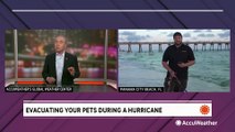 Evacuating your pets during a hurricane