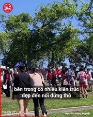Review đại học top 3 thế giới Stanford: Khuôn viên rộng tới 35km2, có hẳn câu lạc bộ múa quạt của Việt Nam
