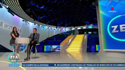 Perritos pug marchan en el Centro Histórico de Querétaro