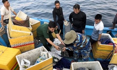 Đề xuất dùng robot hỗ trợ trục vớt tàu cổ đắm ở Quảng Ngãi