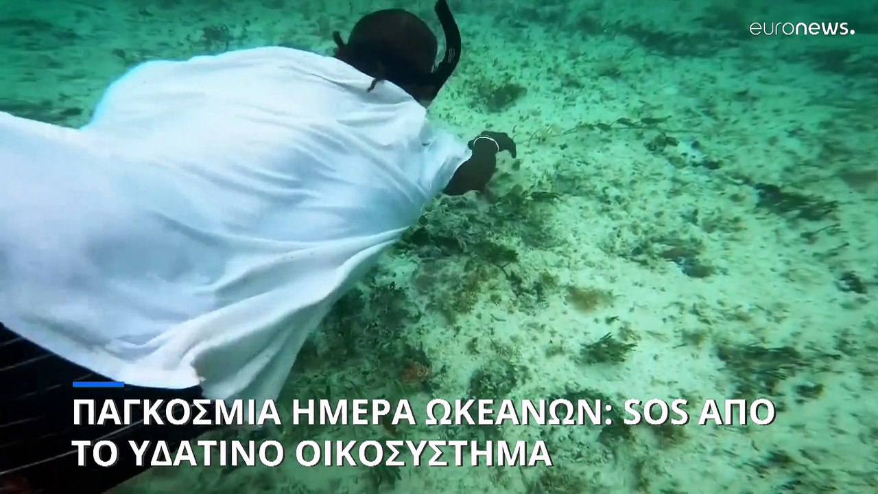 Παγκόσμια Ημέρα Ωκεανών: Επείγουσα ανάγκη για προστασία του υδάτινου οικοσυστήματος