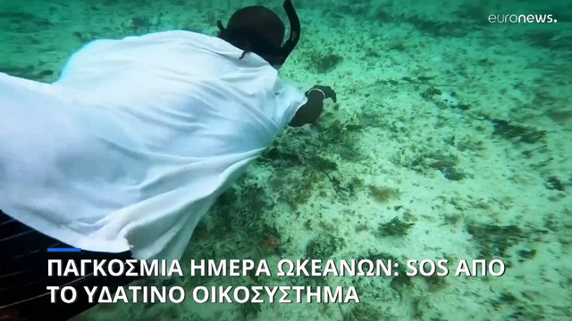 Παγκόσμια Ημέρα Ωκεανών: Επείγουσα ανάγκη για προστασία του υδάτινου οικοσυστήματος