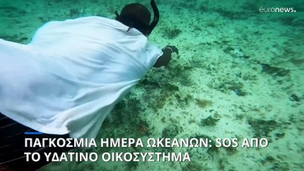 Παγκόσμια Ημέρα Ωκεανών: Επείγουσα ανάγκη για προστασία του υδάτινου οικοσυστήματος