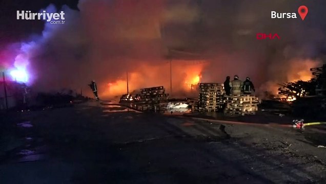 Bursa’da palet fabrikasında yangın çıktı! Fabrika kullanılamaz hale geldi