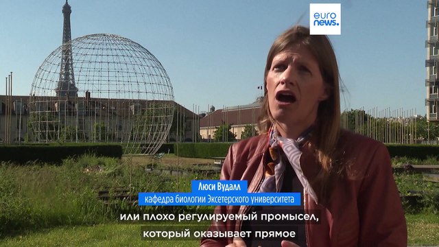 Всемирный день океана: спасти его можно только усилиями всего человечества