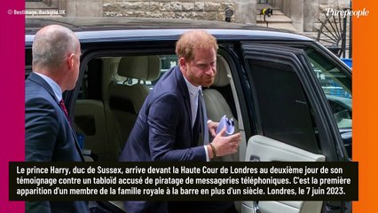 Prince Harry très agaçant devant la justice : son comportement pointé du doigt