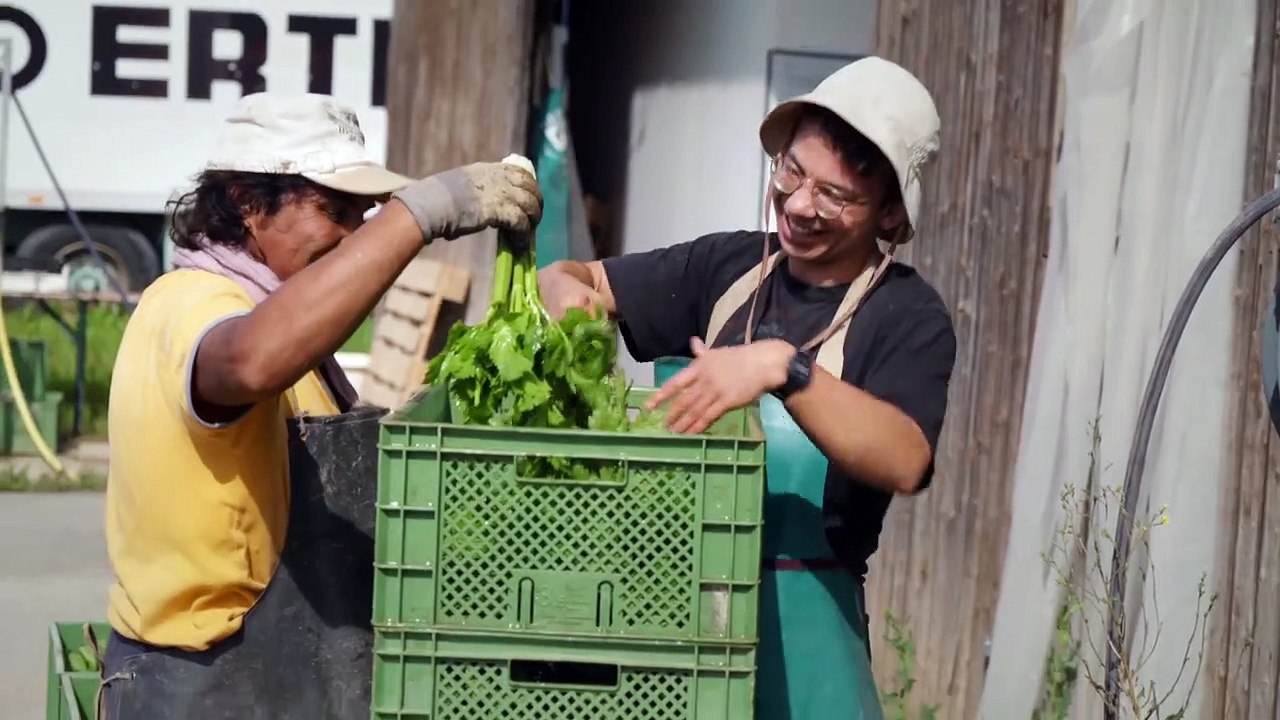 Das Kombinat Trailer DF