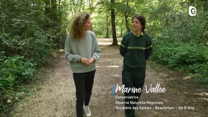 VOYONS VOIR - 08/06/23 - LES RESERVES NATURELLES RÉGIONALES