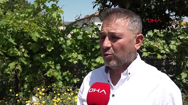 Méfiez-vous des arnaques à la location de voiture en ligne