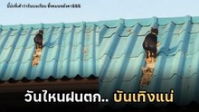 คลิปที่มีกลิ่น กินบนเรือน ขี้บนหลังคาของแท้ น้องเหมียวสาธิตให้ดูแล้ว