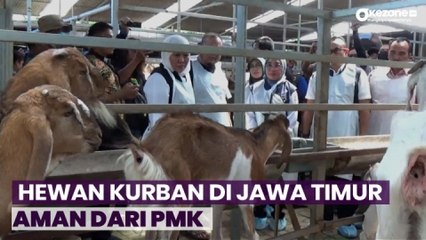 Gubernur Jawa Timur Pastikan Hewan Kurban Aman dari Virus PMK