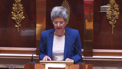 Sandrine Rousseau: "Cette crise-là n'est qu'un début, ce qui arrive est bien pire"