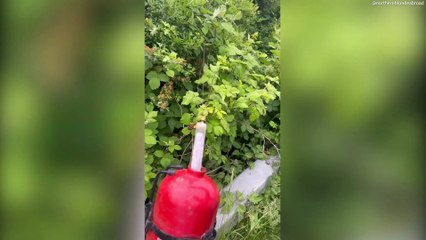 British family save £600 going to Center Parcs in BELGIUM instead of UK