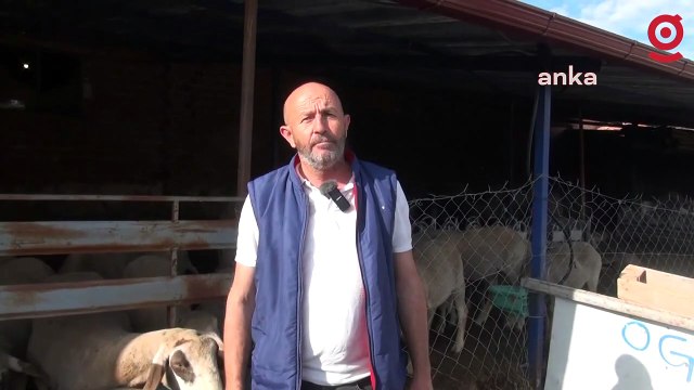 Bergamalı besici: Kurbanlık fiyatı 8-9 bin arasında, asgari ücretle vatandaş nasıl alıp da kesecek?