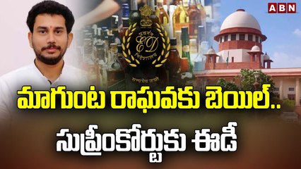 మాగుంట రాఘవకు బెయిల్..సుప్రీంకోర్టుకు ఈడీ | Delhi Liquor Scam | Magunta Raghava | ED | Suprem | ABN