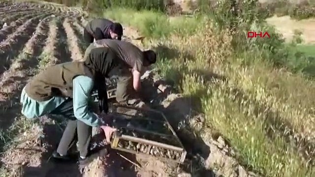 550 chardonnerets qui voulaient être introduits clandestinement en Turquie depuis la Syrie ont été saisis