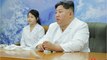Kim Jong-un has reportedly issued a ban on suicide in North Korea, here's what we know
