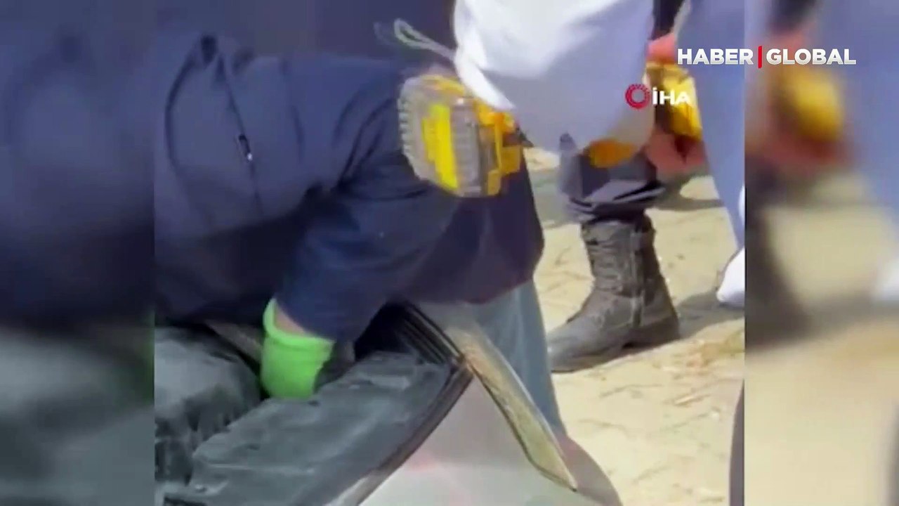 2 metre uzunluğunda! Otomobilin motoruna yılan girdi, gören hem şaşırdı hem korktu